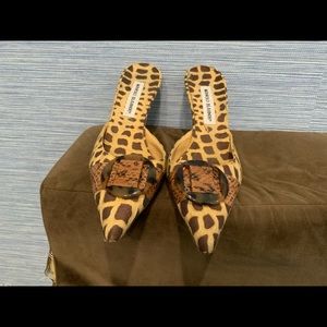 Manolo Blahnik cheetah mules